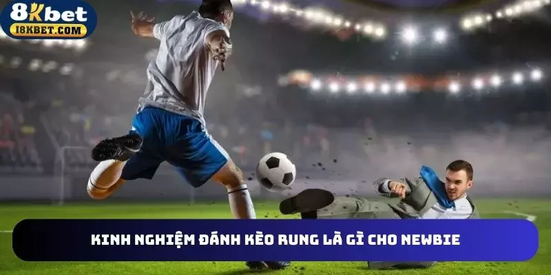 Bí quyết đánh kèo rung là gì cho newbie