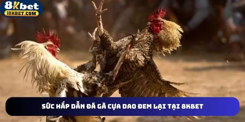 Sức hấp dẫn sảnh đá gà cựa dao đem lại