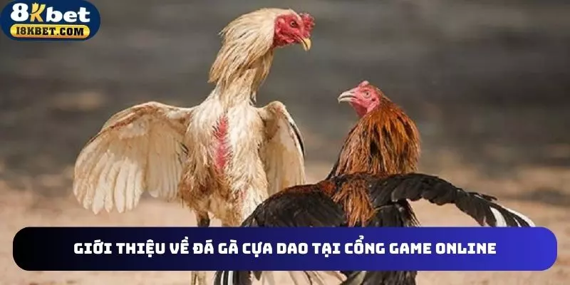 Tổng quan về đá gà cựa dao online