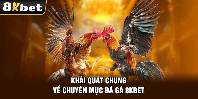 Khái quát chung về chuyên mục đá gà 8kbet